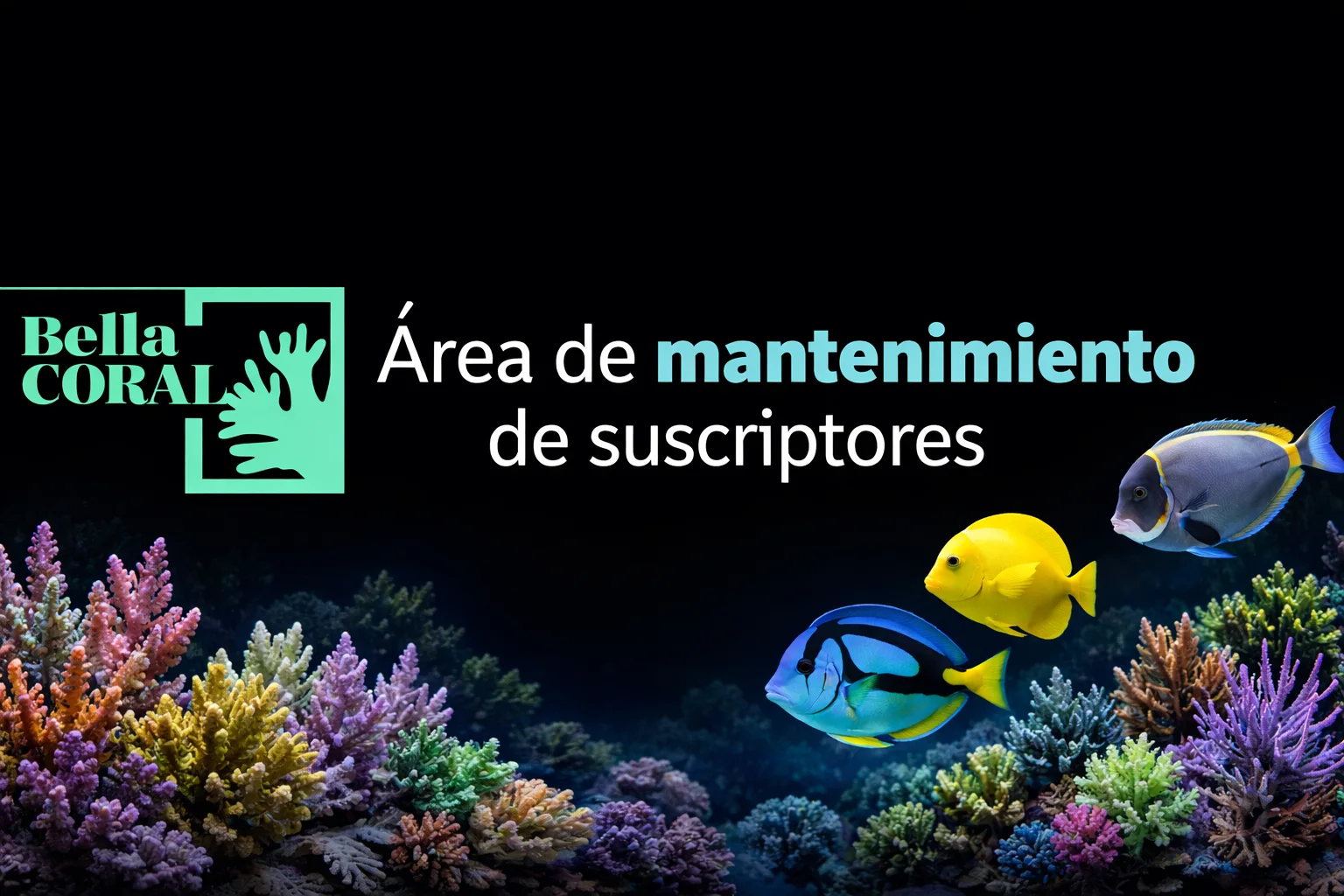 BellaCoral - Área de mantenimiento de suscriptores